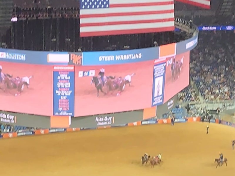 American Traditon: The Houston Rodeo